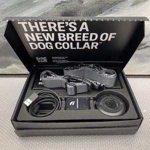 Fi Series 3 Collare per Cani Smart, Grigio/Medio - Foto 1 di 3