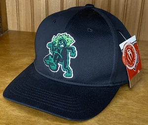 OC Sports Eugene Emeralds Baseball Cap Sasquatch Minor League Youth NWT - Picture 1 of 8