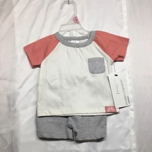 Gerber Modern Moments 24 Months Girls Shirt & Short Combo Pink / Grey NWT - Picture 1 of 11