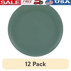 10.5 Inch Round Plastic Plates Set of 12 BPA Free Microwave Safe Dishwasher Safe - Picture 1 of 6