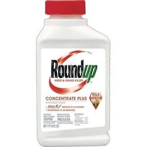 Roundup Weed and Grass Killer Concentrate - 16 fl. oz.