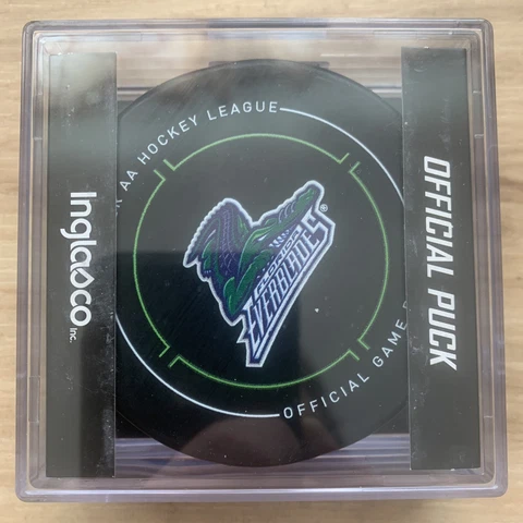 FLORIDA EVERBLADES ECHL Official Game HOCKEY PUCK InGlasCo New in Cube Cover