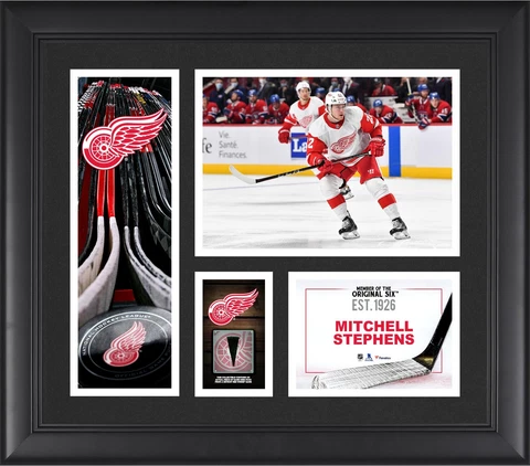 Mitchell Stephens Red Wings FRMD 15" x 17" Collage with a Piece of GU Puck Cover