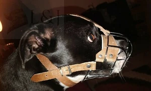 Strong Metal Wire Basket Dog Muzzle Staffordshire Bull Terrier Staffy , Staffie - Picture 1 of 14