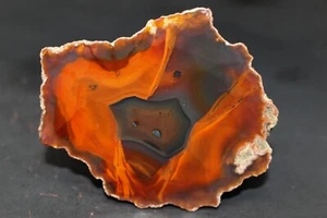 Condor agate collector specimen - Picture 1 of 4