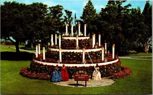 Torta Compleanno Floreale Con Candele Cipressi Giardini Florida Cartolina Non Spedita - Foto 1 di 2