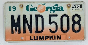 Targa Georgia originale d'epoca Lumpkin County 1990 91 92 93 94 95 96 97 - Foto 1 di 2