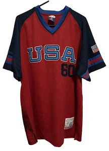 MUHAMMAD ALI 60 USA Men 1960 Rome Gold Medalist Pullover Jersey L Platinum Fubu - Picture 1 of 8