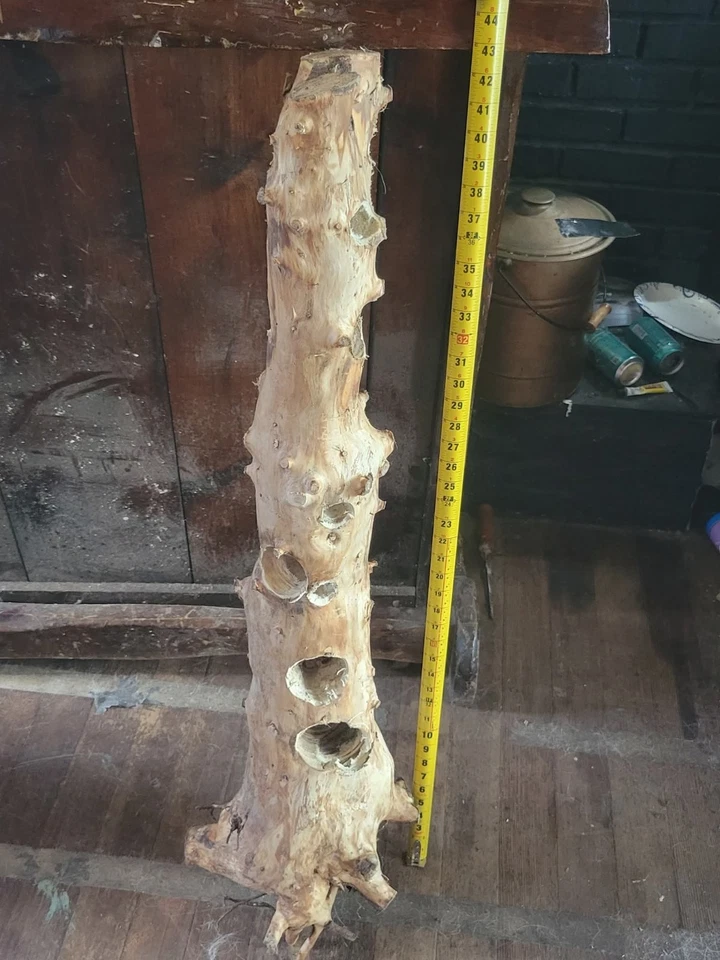 Fish And Reptile Hide - Image 1 of 1