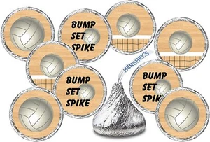 216 Sports Volleyball Kisses Stickers, Kisses Stickers for Birthday Party - Picture 1 of 3