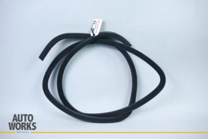 98-03 Jaguar XJR XJ8 VDP X308 SWB sello de puerta lateral derecha resistente a la intemperie pierna OEM - Imagen 1 de 6