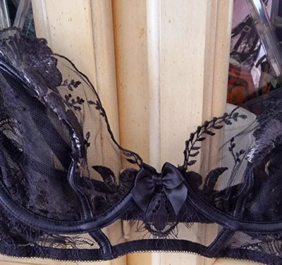 Bra Honey Birdette  Size 10D Black New Mesh Shiny Stunning Whitney - image 1 of 4