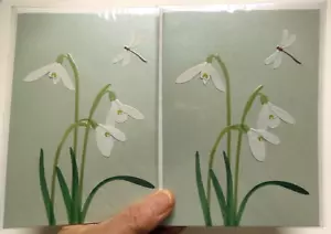 2 Papyrus Cards High Quality SYMPATHY CARDS Dragonfly & Flowers - Picture 1 of 4