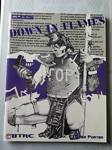 Down in flames (Corps) 1999 von Greg Porter RPG Rollenspiel - Bild 1 von 3
