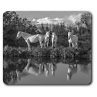 Rectangle Mouse Mat BW - Grey White Horse Pony Equine Girls Horses  #43765