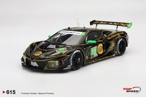 1/18 CHEVROLET CORVETTE Z06 GT3.R NO.13 AWA 2025 IMSA DAYTONA 24 HRS TS0615 - Picture 1 of 1