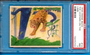 1938 Frank Buck #14 Leopard Psa 7 - Picture 1 of 2