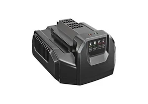 EGO CH2100E Caricatore Standard 210 W - Foto 1 di 3