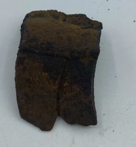 Versteinertes Schildkrötenschalenfragment aus Florida, Pleistozän Epoche T1 - Bild 1 von 4