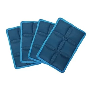 Reusable Ice Packs & Freezable Cooler Bag for Lunch Box, Outdoor Ice Pack 4pcs - Picture 1 of 7