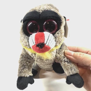 Peluche Ty Beanie Boos 6" Wasabi Spunky Monkey 18 de mayo fecha de nacimiento 100 % concha de seda - Imagen 1 de 11