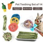 Rabbit Teething Stick 1 Set Hamster Teeth Training Kit Bunny Teeth Cleaning T FT