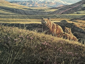 Grizzly Bear And Cubs In Mountains Tapestry Afghan Throw ~ Artist CABLE 64”x48” - Picture 1 of 8