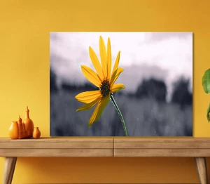 Big Yellow Colored Flower 5mm thick Plastic Poster Ready to Hang 60x45cm - Picture 1 of 3