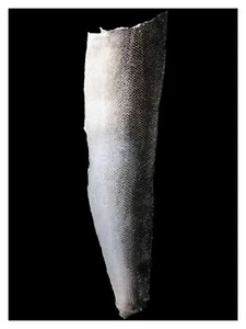 Single One Salmon Leather Fish Skin Supple Matte Natural - Picture 1 of 12