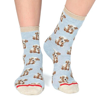 Calcetines Fil de Jour para mujer Angora Crew Lili Dog EE. UU. 7/9,5 azul cielo, hechos en Italia Foto 1 de 4