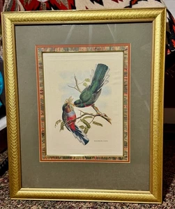 VTG JOHN GOULD BIRDS,  MATTED/FRAMED, NUMBERED ENGRAVED LITHO, ITALY - Picture 1 of 8