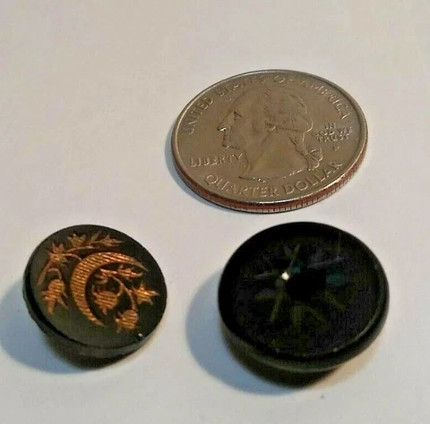 2 Antique/Victorian Celluloid Buttons Plant And Moon Design / Star Design M BG 8 Cover