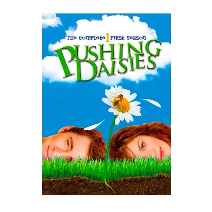 Pushing Daisies: Season 1 (DVD, 2007) - Image 1 of 1