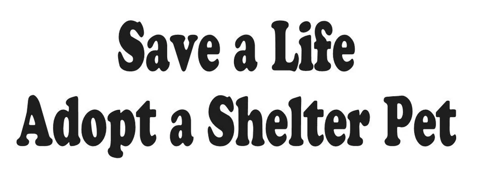 SAVE A LIFE ADOPTE UN REFUGIO MASCOTA VINILO CALCOMANÍA PEGATINA PERRO CACHORRO GATO ELIGE EL COLOR Foto 1 de 1