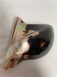 Winged SeaShell Gürtelschnalle, Vintage, Braun, Rosatöne, irisierend - Bild 1 von 7