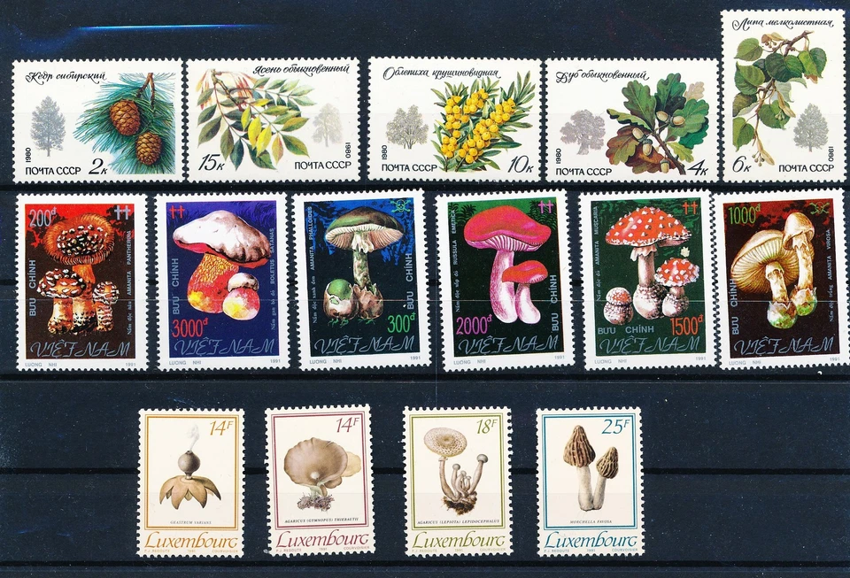 LS63304 World fungi plants mushrooms fine lot MNH - Image 1 of 1