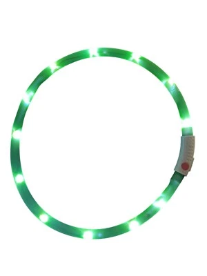 Collar de perro LED verde VISTO alta visibilidad USB recargable 3 modos cortado a medida Foto 1 de 4