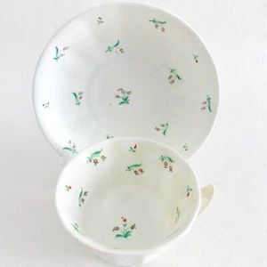 ANTIGUO SIGLO XIX NUEVO SALÓN TAZA Y PLATILLO PINTADO A MANO DELICADAS FLORES ROJAS CIRCA 1810 - Imagen 1 de 10