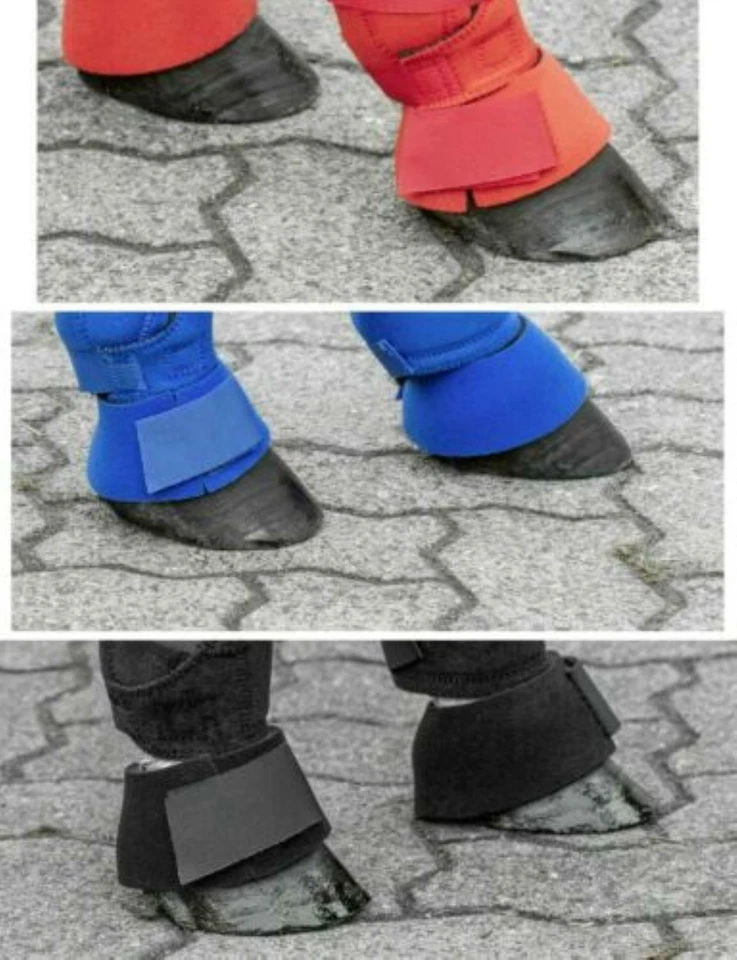 Shetty Hufglocken  Springglocke Neopren schwarz blau rot USG Neu - Bild 1 von 1