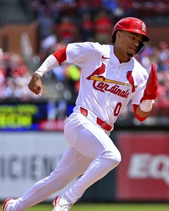 8x10 Photo MASYN WINN St. Louis Cardinals Top Prospect Rookie Of The Year - Picture 1 of 1