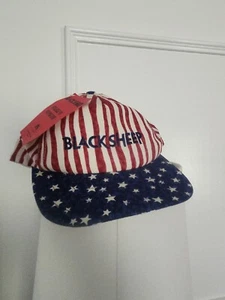 Black Sheep Paramount Movie NWT  Snapback Hat - Picture 1 of 6