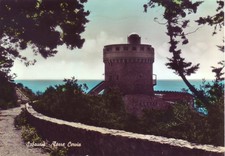Sabaudia - Torre Cervia, viaggiata 1959