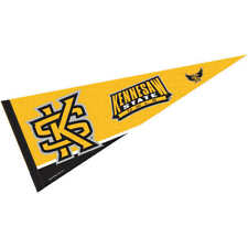 Kennesaw State Owls NCAA College Pennant
