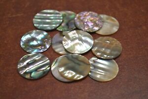 24 PCS UNDRILLED ROUND ABALONE SHELL BLANK CHARM DISC 20MM #T-442