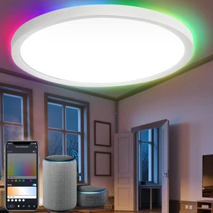 LED Deckenlampe 24W Deckenleuchte Flurlampe Lampe RGB Sprachsteuerung: 2040ML - Bild 1 von 16