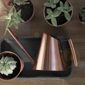 For Indoor Outdoor Plant Care with Stylish Long Spout Metal Watering Can - Bild 1 von 57
