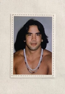 Tarjeta de novato Ricky Steamboat RC 1981 GONG JAPÓN - Imagen 1 de 3