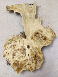 Disco de árbol 53 x 35 - 10 x 4,5 cm álamo máser resina epoxi álamo burl E 90 - Imagen 1 de 8
