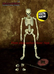 En stock COOMODEL KS02 Esqueleto Humano Cuerpo Movible Aleación de Metal 1/6 - Imagen 1 de 6