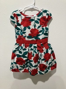 Carters Red Roses Dress Girls Size 4. Cute Now In Front. Ruffled Waist Tulle B - Picture 1 of 3